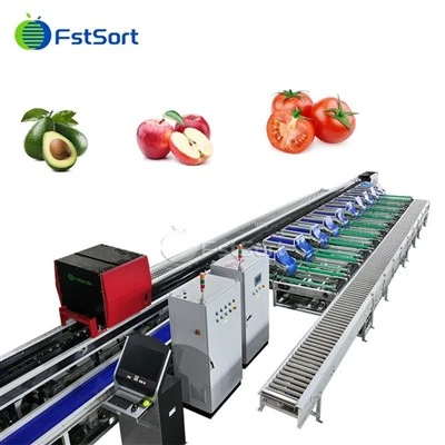 Alta Preciza Tomato AI Ordigilo